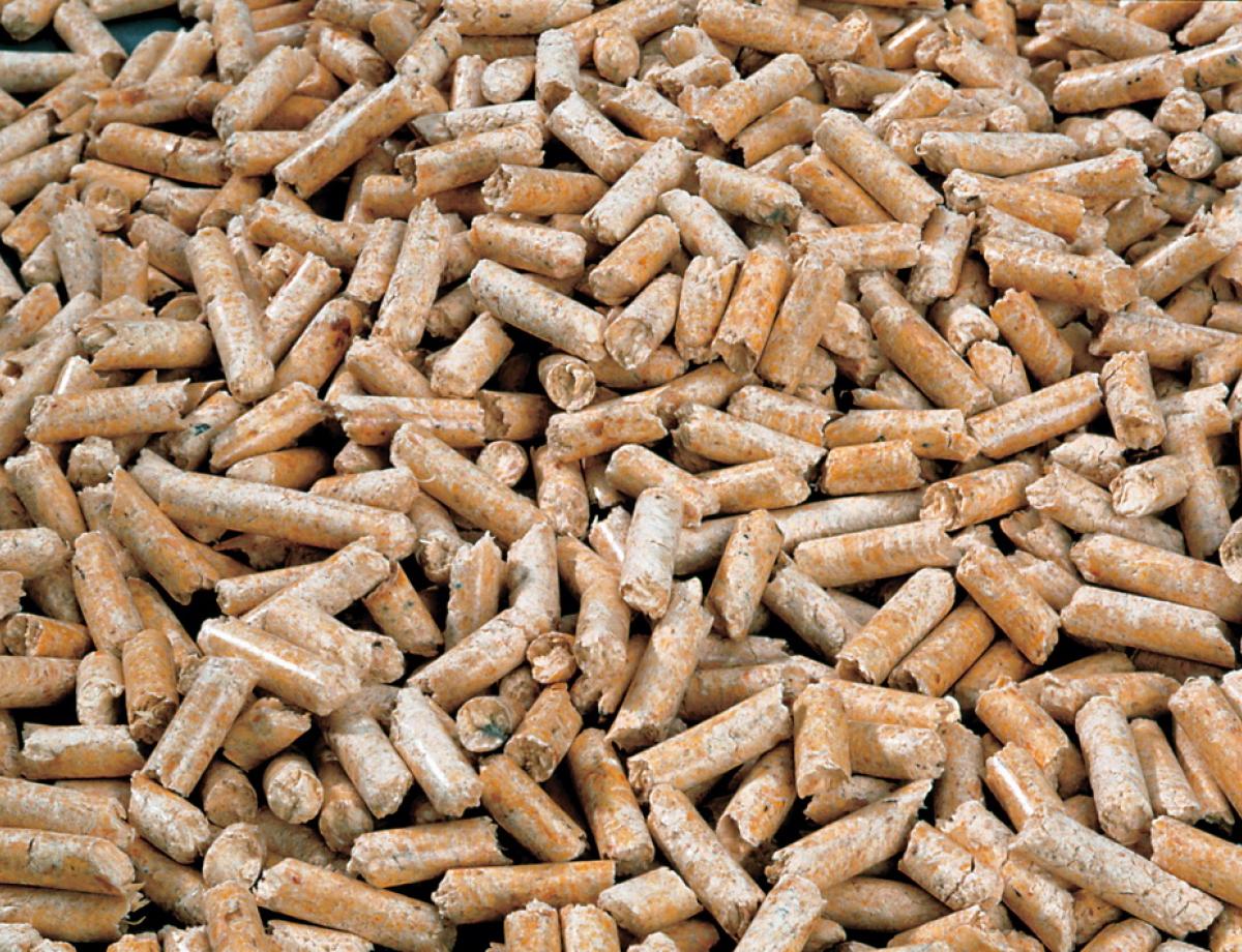 49538-01-granules